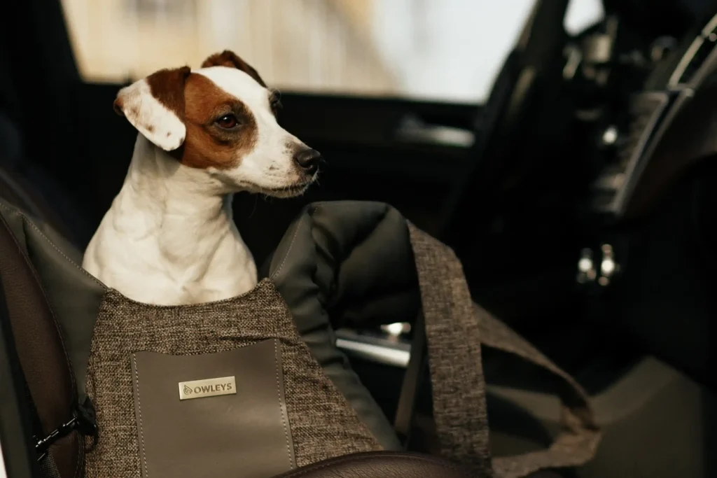 dog booster seat and carrier