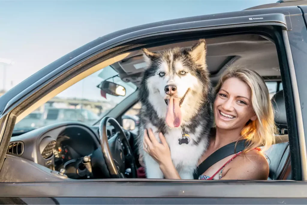 Pet seat covers for trucks